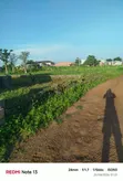 Distress Sale: 500sqm Commercial Land in Bwari - 5