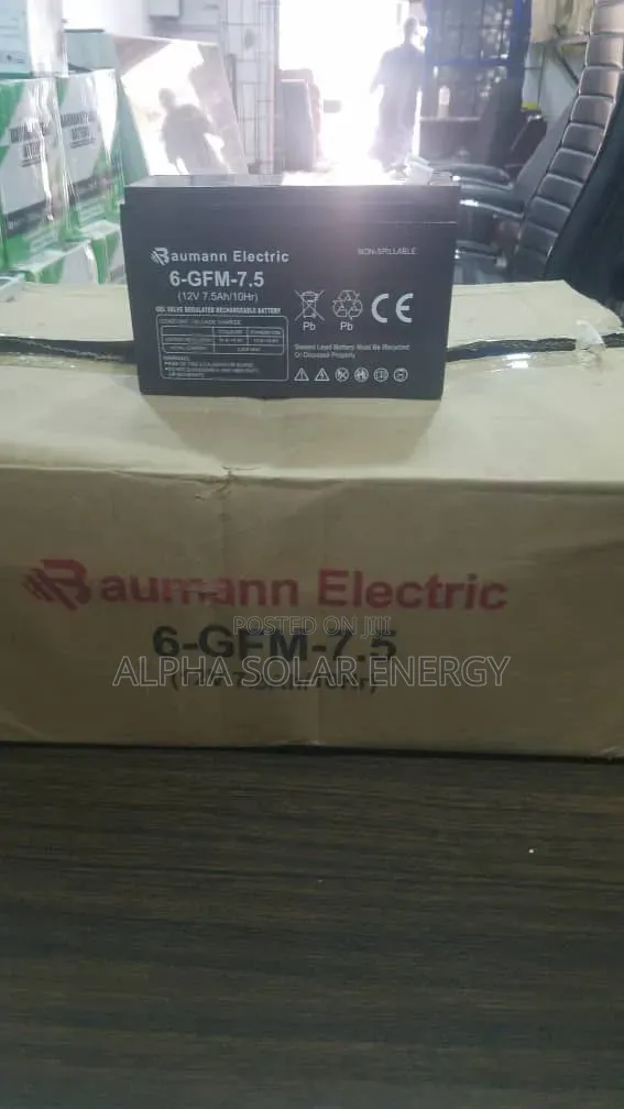 12V 7.5Ah Baumann Electric Battery - 1