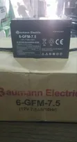 12V 7.5Ah Baumann Electric Battery - 2