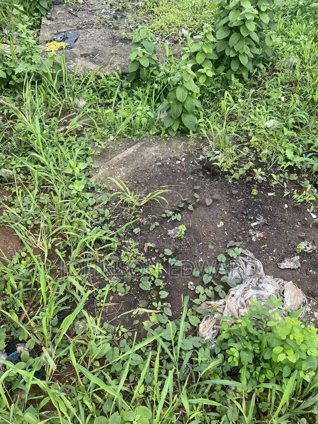 8 Plots of Land with Hotel Carcass for Sale, Ijede Road, Ikorodu - 1