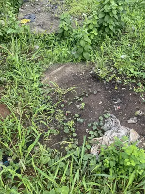 Filaye 8 da Ginin Hotel da ke kan Titin Ijede, Ikorodu, don Siyawa