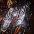 Headlights Set Toyota Camry 2020 LE (Used) - 2
