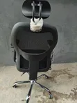 Ergonomic Mesh Office Chair - Brand New - 2