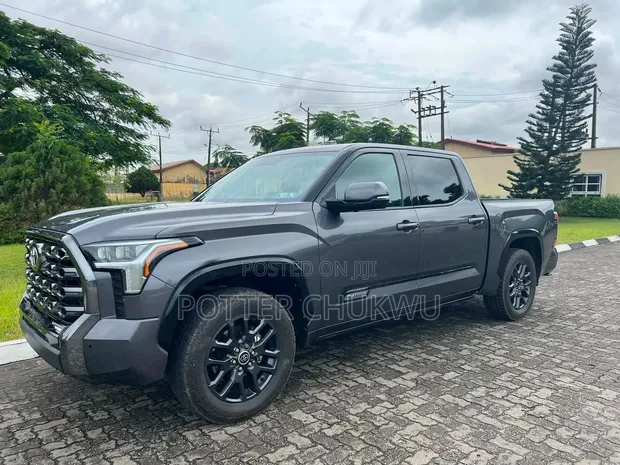 2022 Toyota Tundra Platinum - 1