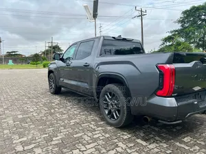 2022 Toyota Tundra Platinum