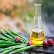 Palm Kernel Oil - Refined - 1