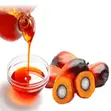 Palm Kernel Oil - Refined - 2