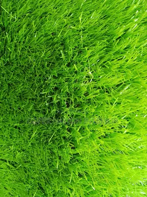 Artificial Grass 50mm - Bulk Available