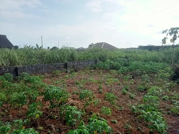 Half Plot for Sale @ Peace Avenue, Arobieye - 1