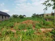 Half Plot for Sale @ Peace Avenue, Arobieye - 3