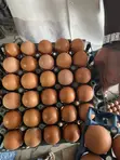 Fresh Farm Eggs for Sale - 2