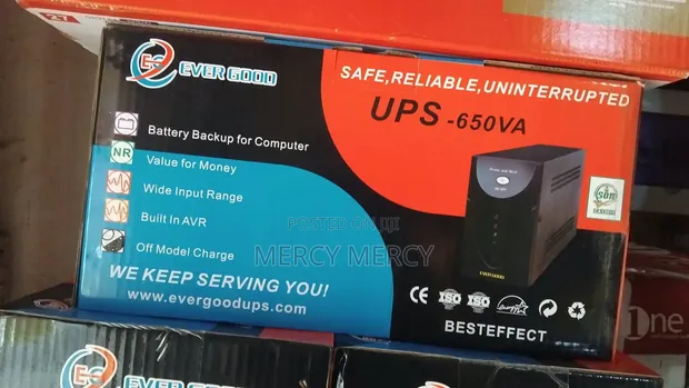 Evergood 650VA UPS - 1