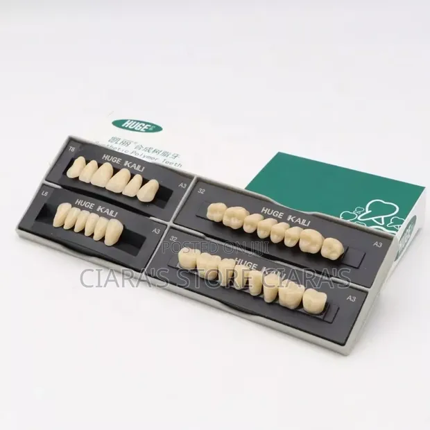 Lifecare Medical Resin Tooth Replacement (28 Pieces) - 1