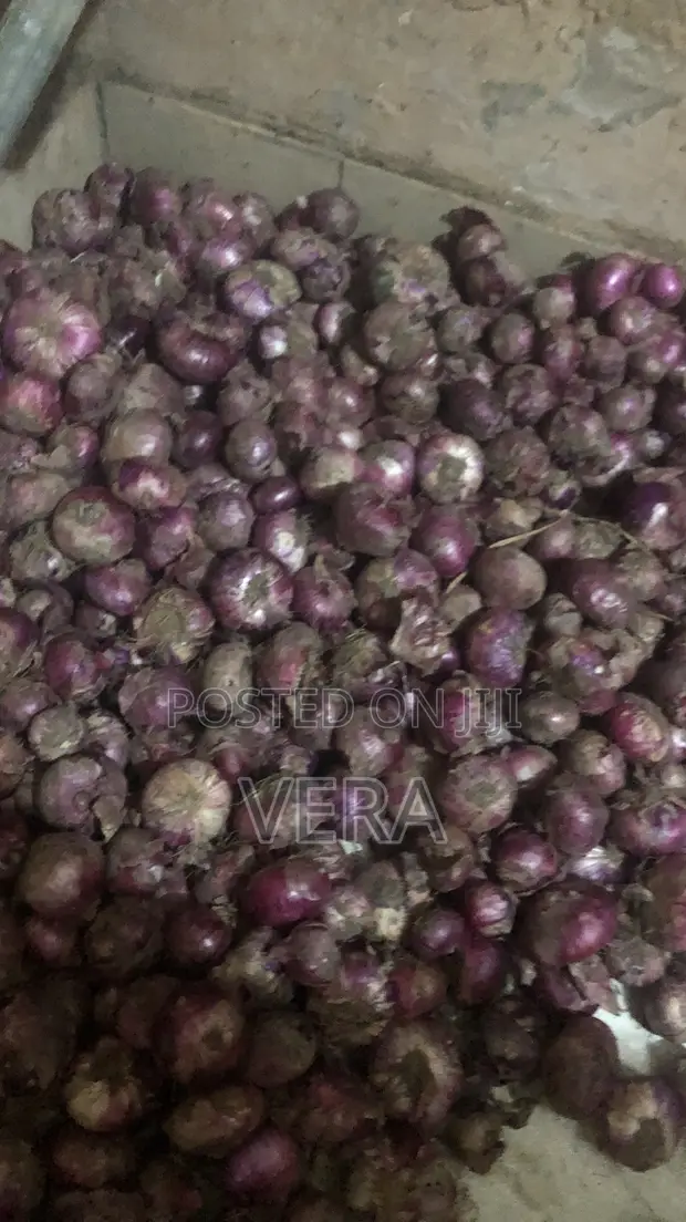 Vee Farm Onions - 1