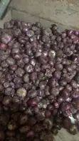 Vee Farm Onions - 1