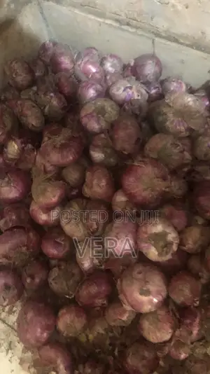 Vee Farm Onions