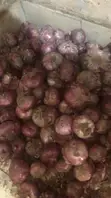 Vee Farm Onions - 2