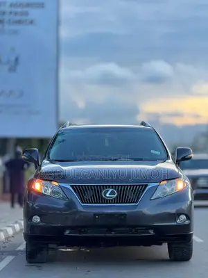 Lexus RX 350 2010 Gray SUV