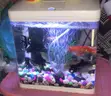 9 Litre Aquarium Complete Set - Sebo T-240 - 1