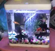9 Litre Aquarium Complete Set - Sebo T-240 - 3