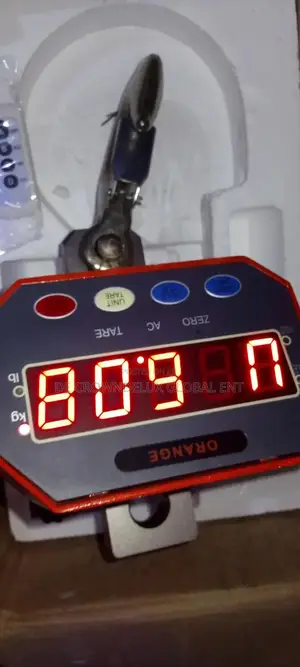 3 Ton Crane Scale