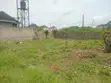 Nova Palm City - Agrinova Oil Palm Plantation Estate - 3