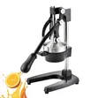 Juicer Masana'antu na Hannu - 3