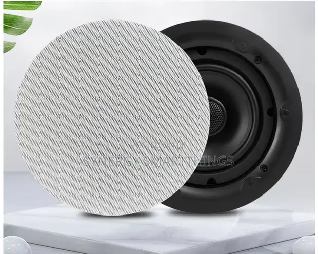 25W Passive Speaker - 1