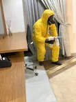 Bedbug Pest Control and Fumigation Services - 1