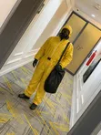 Bedbug Pest Control and Fumigation Services - 5