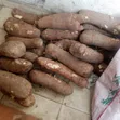 Yam Tubers - Newly Harvested - 1
