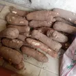 Yam Tubers - Newly Harvested - 2