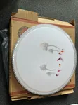 LED Ceiling Lamp - 2