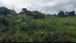 Distress Sale: 3600sqm Mixed-use Land, Uyo - 2