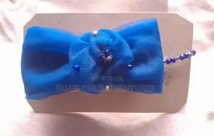Elegant Blue Crystal Bow Necklace