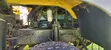 HOWO 371 Dump Truck - Heavy Duty Tipper for Sale - 4