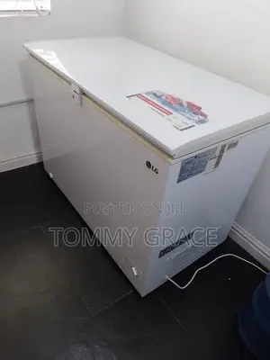 LG Freezer (280L) - Used