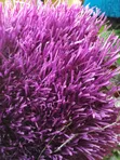 High Quality Artificial Grass - Various Sizes & Colors - 2
