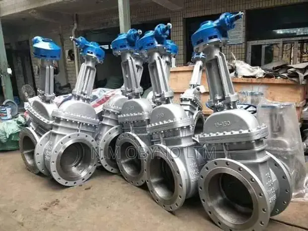 6" x 150 Gate Valve - 1