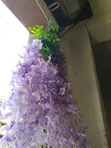 High Quality Artificial Dropping Flowers - Bulk Available - 3