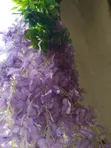 High Quality Artificial Dropping Flowers - Bulk Available - 4