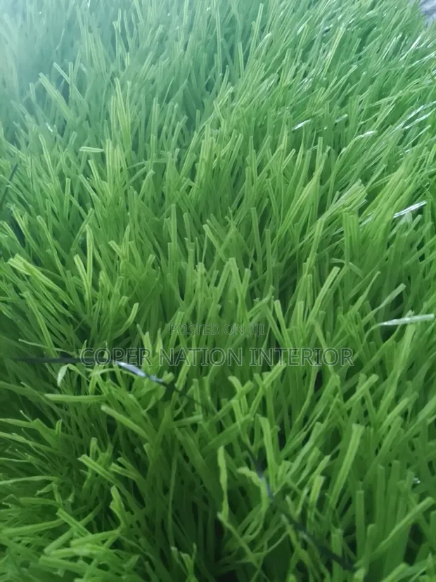 Artificial Grass 50mm - Akwai Launuka Biyu - 1