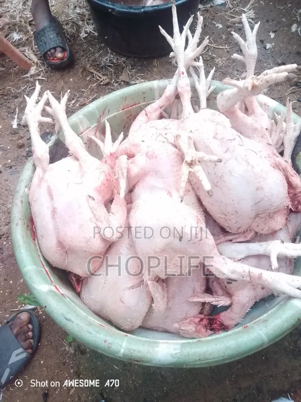 Choplife Poultry Fresh Chickens - 1