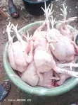 Choplife Poultry Fresh Chickens - 1