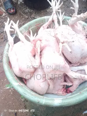 Choplife Poultry Fresh Chickens