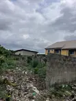 Standard Half Plot of Land in Abule Egba - 1