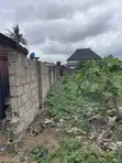 Standard Half Plot of Land in Abule Egba - 2