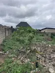 Standard Half Plot of Land in Abule Egba - 3