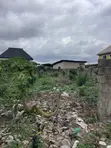 Standard Half Plot of Land in Abule Egba - 4