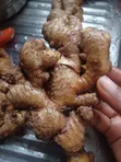Sabon Ginger Dake Kaduna - 3